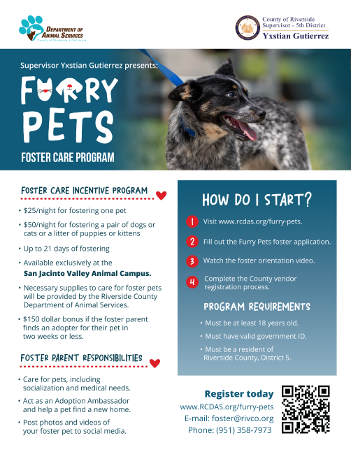 Furry Pets