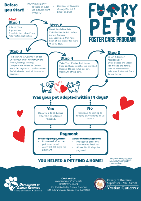 Final Flow Chart Furry Pets